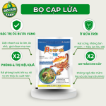 BỌ CẠP LỬA 800gr - TS