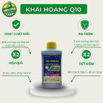 Khai hoang Q10