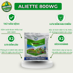 ALIETTE 800WG -100gr