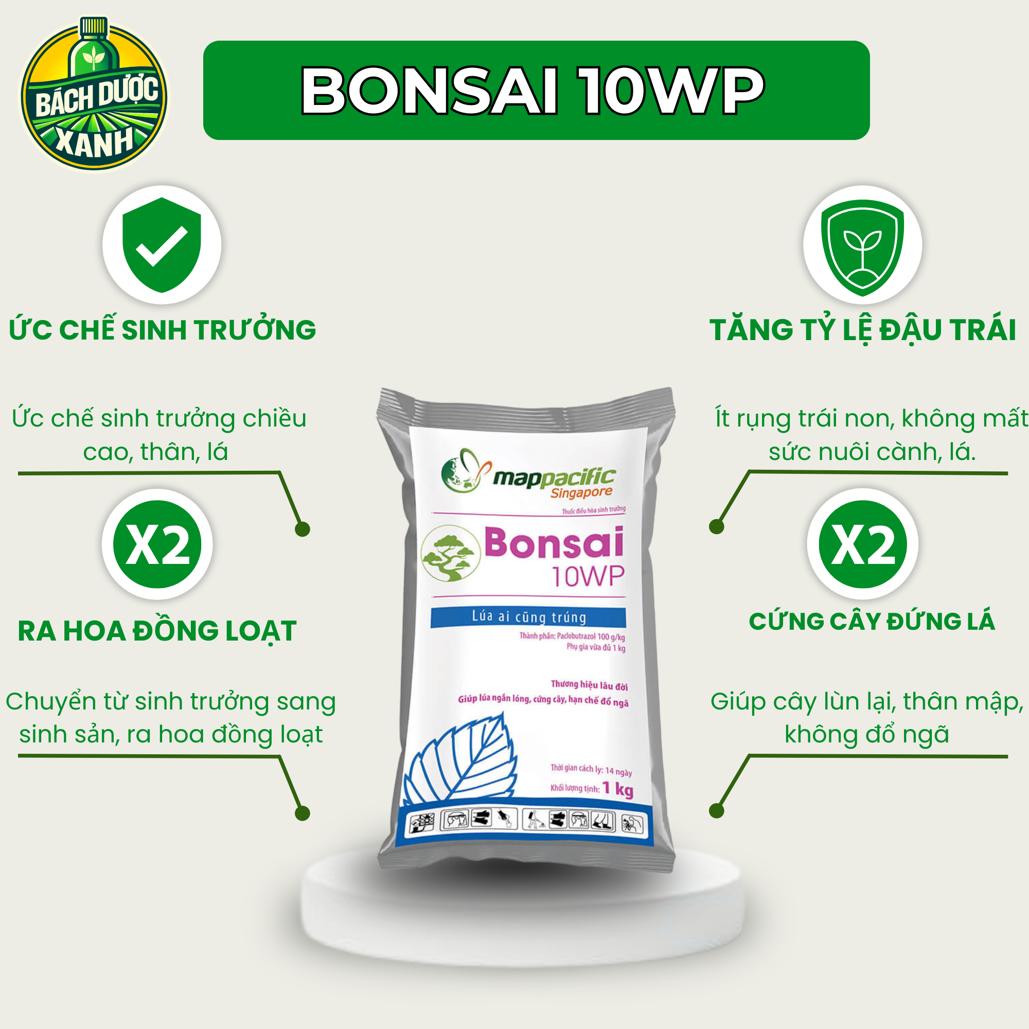 BONSAI 1000gr