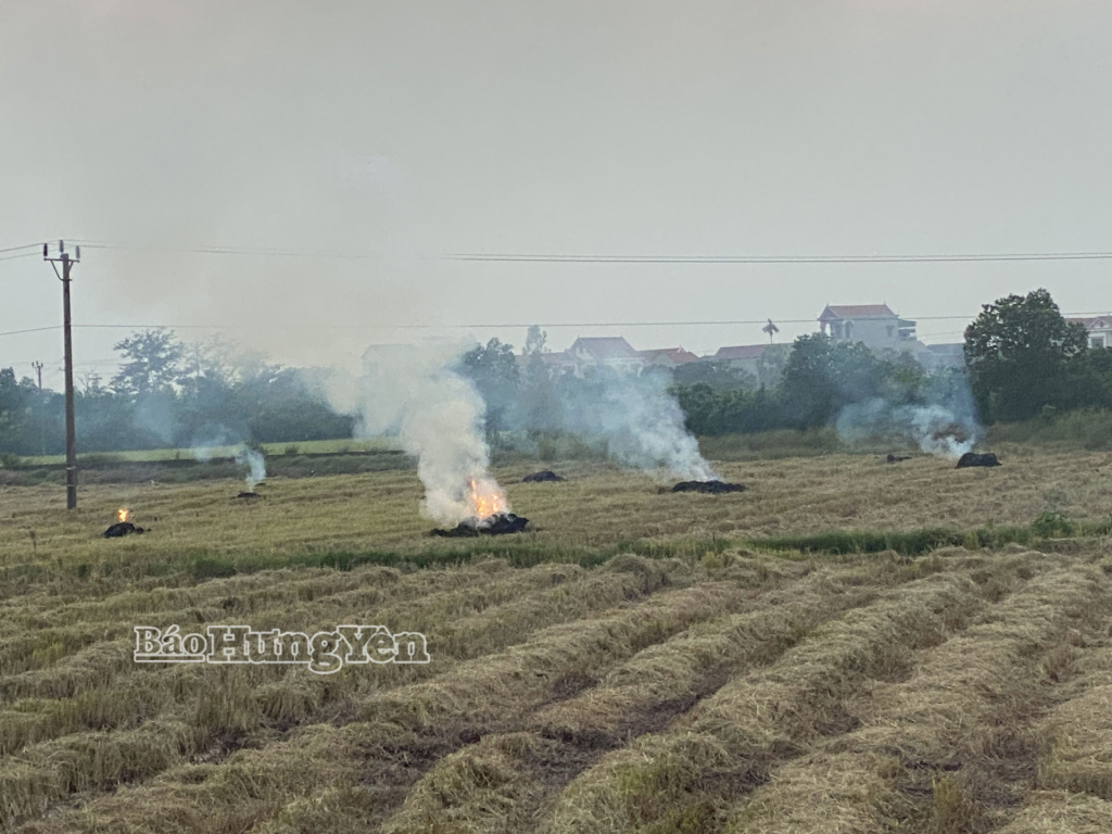 Đốt rơm, rạ trên đồng ruộng: Tiện nhưng hại