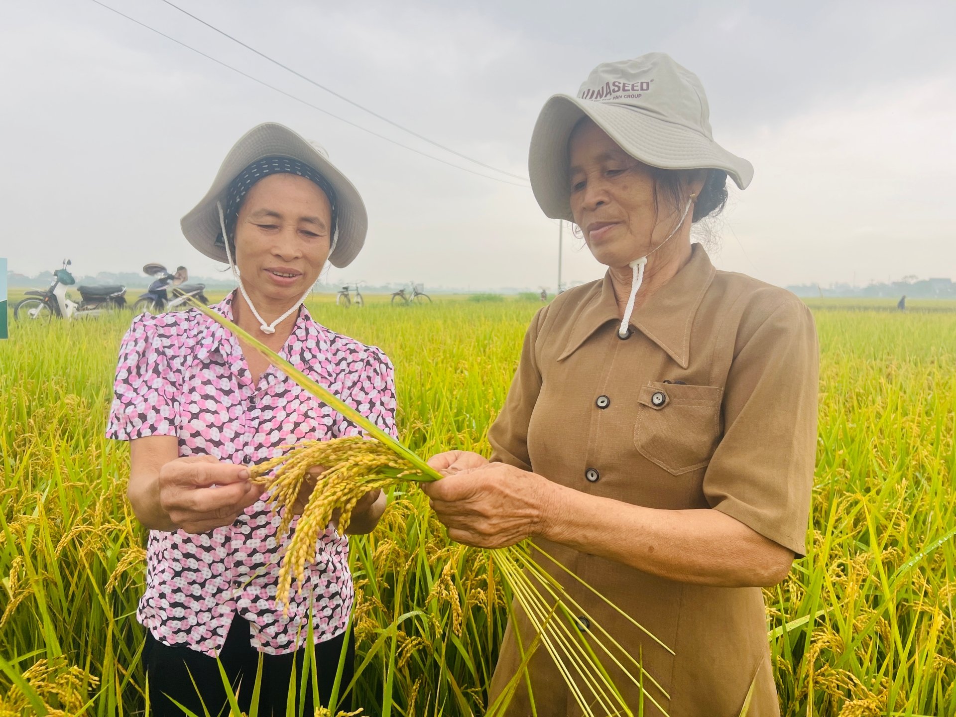 Lê Thị Hoa (Bến Tre)